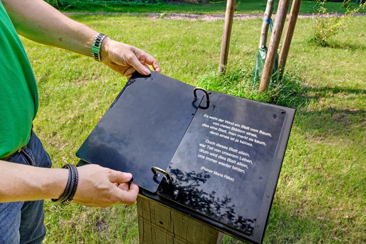 I lunden på kyrkogården i Elmshorn finns plats för 80 återjordade. En plakett eller ett träd kan markera var gravarna är.